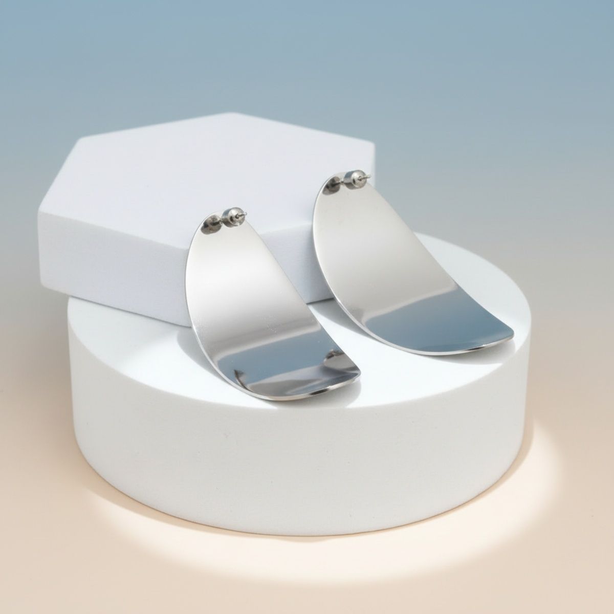 Stainless Steel Curved Oval Disc Earrings